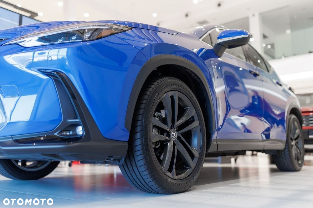 Lexus NX - 15