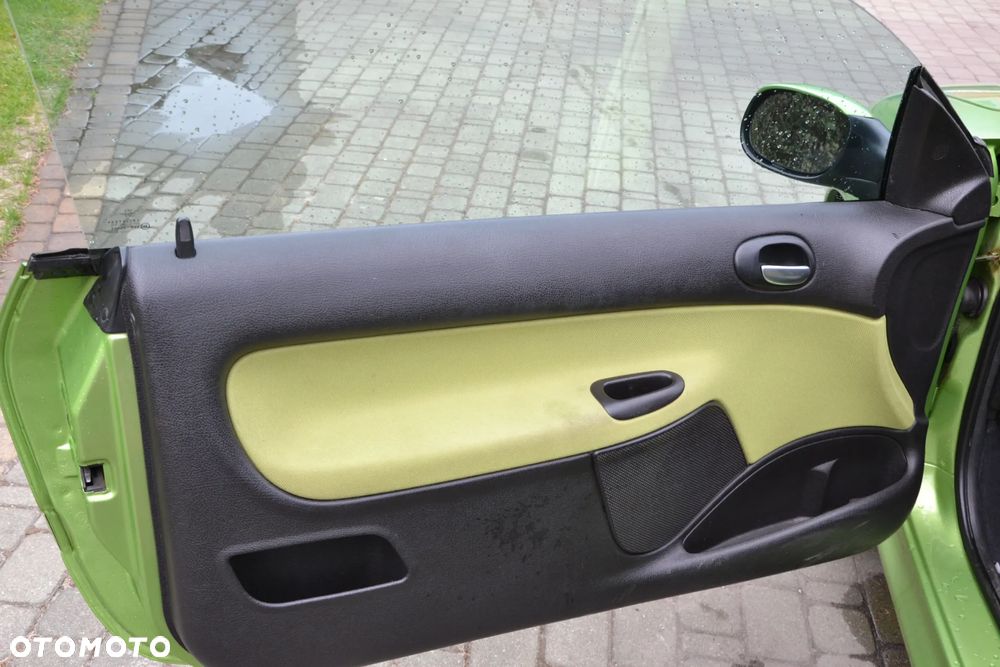 Peugeot 206 CC 110 Platinum - 7