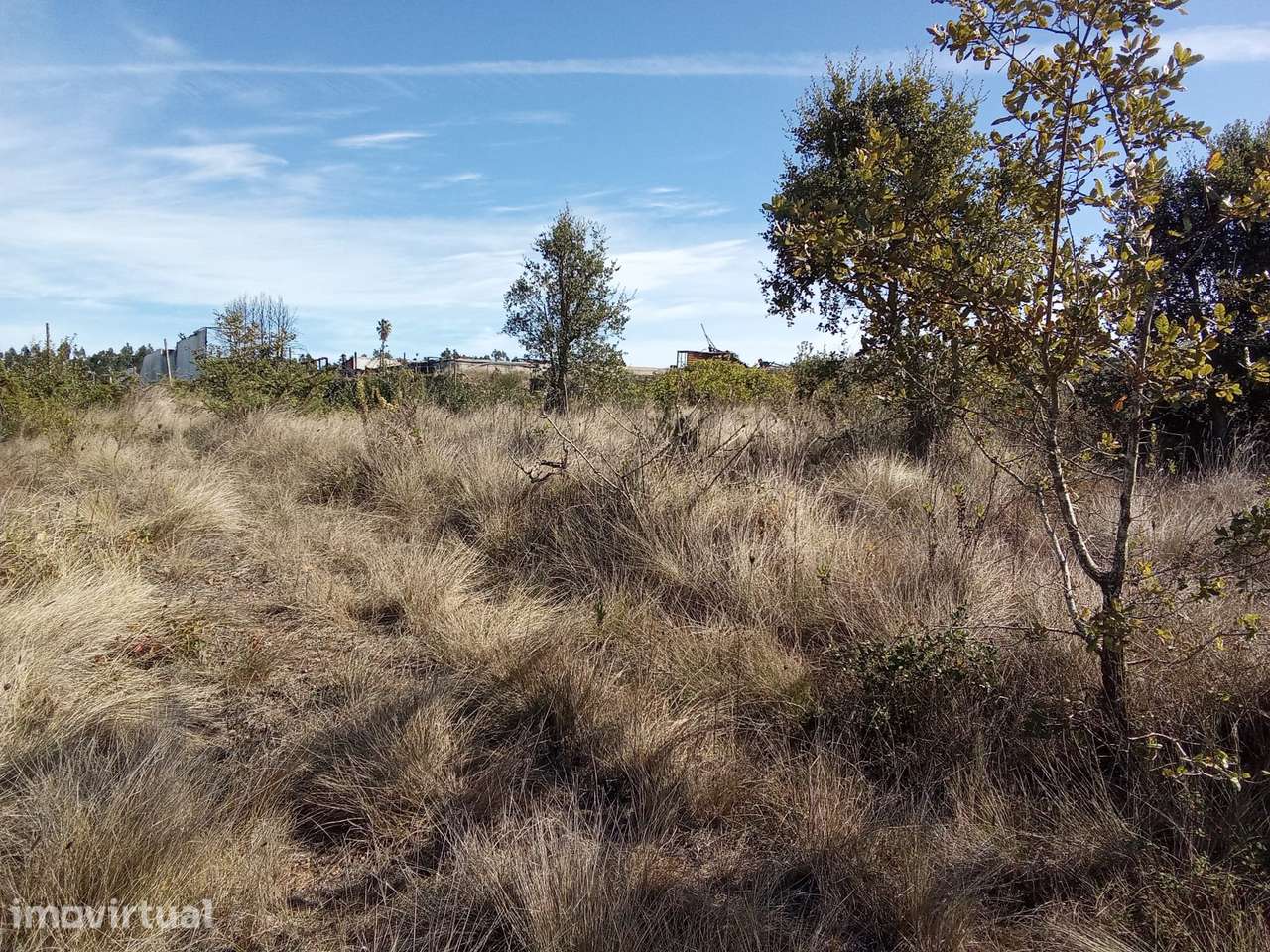 Terreno Rústico com 3.640 m² em  Usseira, Óbidos