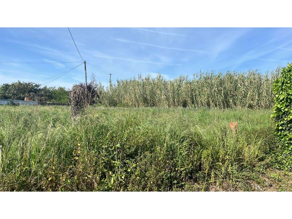 Terreno para construção em Antas, Esposende - Grande imagem: 2/4