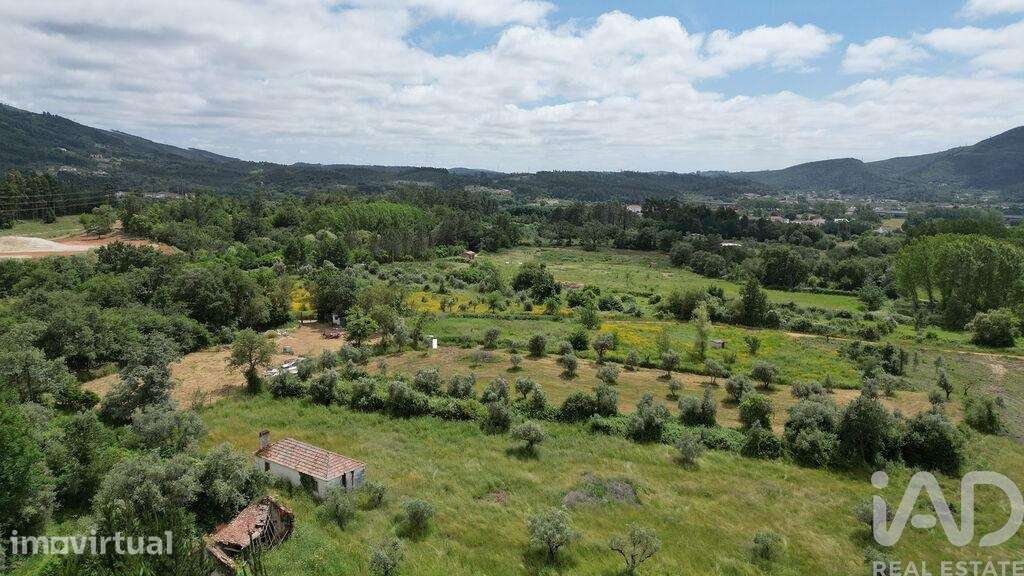 Terreno Agrícola em Espinhal - Grande imagem: 3/24