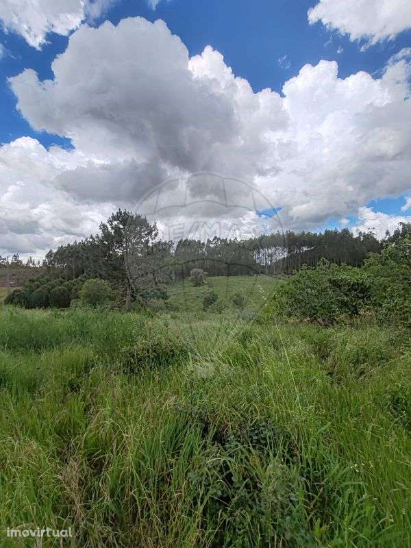 Terreno  para venda - Grande imagem: 3/13