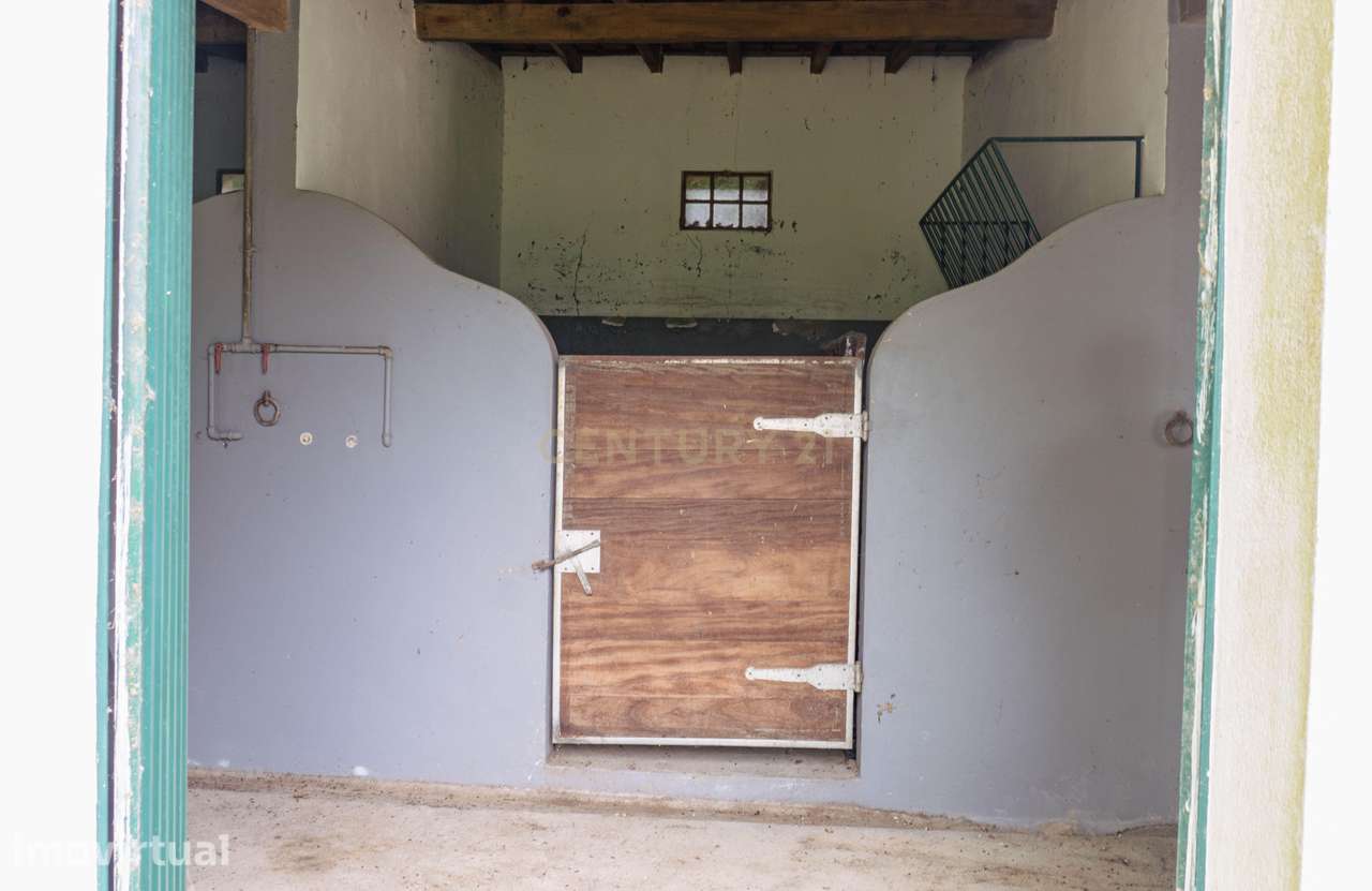 Quintinha em Alenquer com Excelente Potencial – 5,8 Hectares - Grande imagem: 4/27