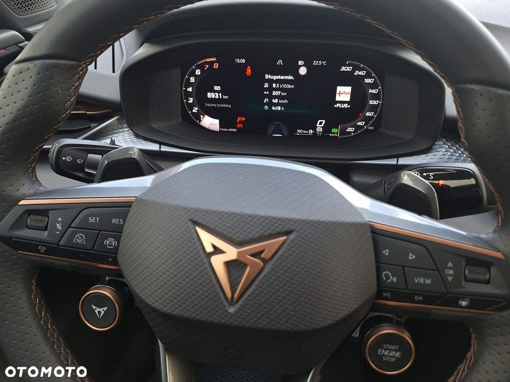 Cupra Terramar - 20