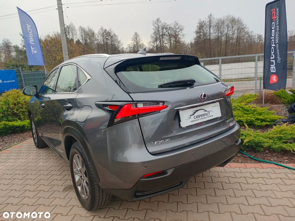 Lexus NX 300h Comfort AWD - 15
