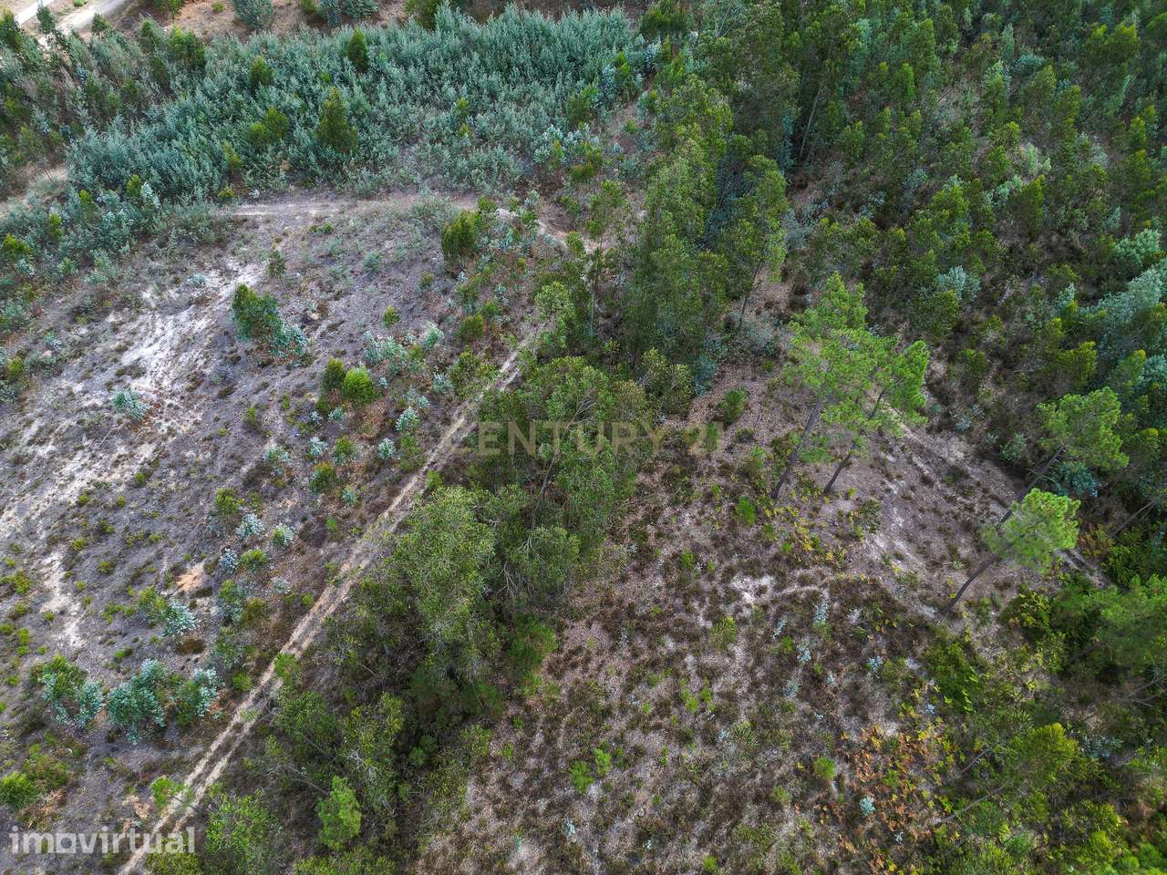 Pinhal com cerca de 720 m² em Canazieira – Cabeça Alta, Montemor-o-Vel - Grande imagem: 5/10