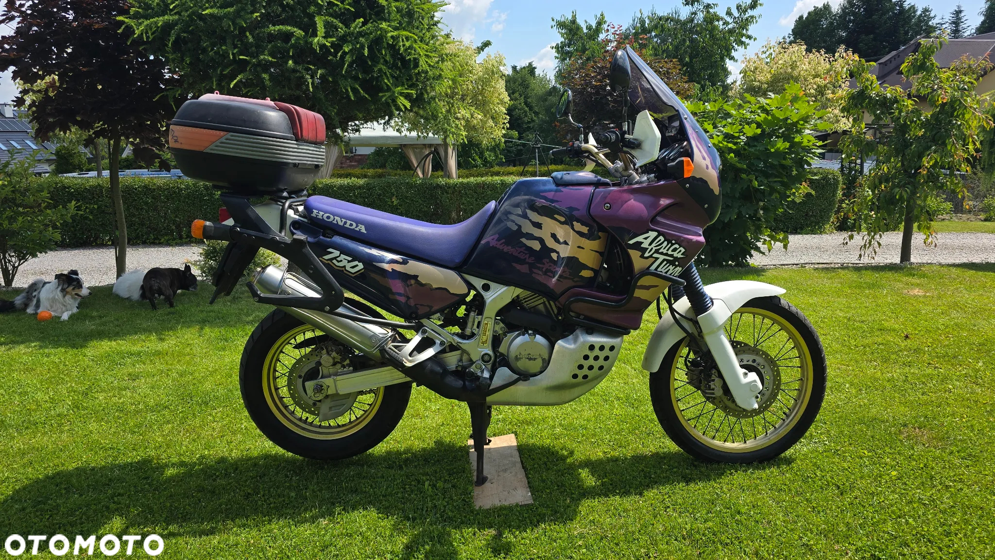 Honda XRV