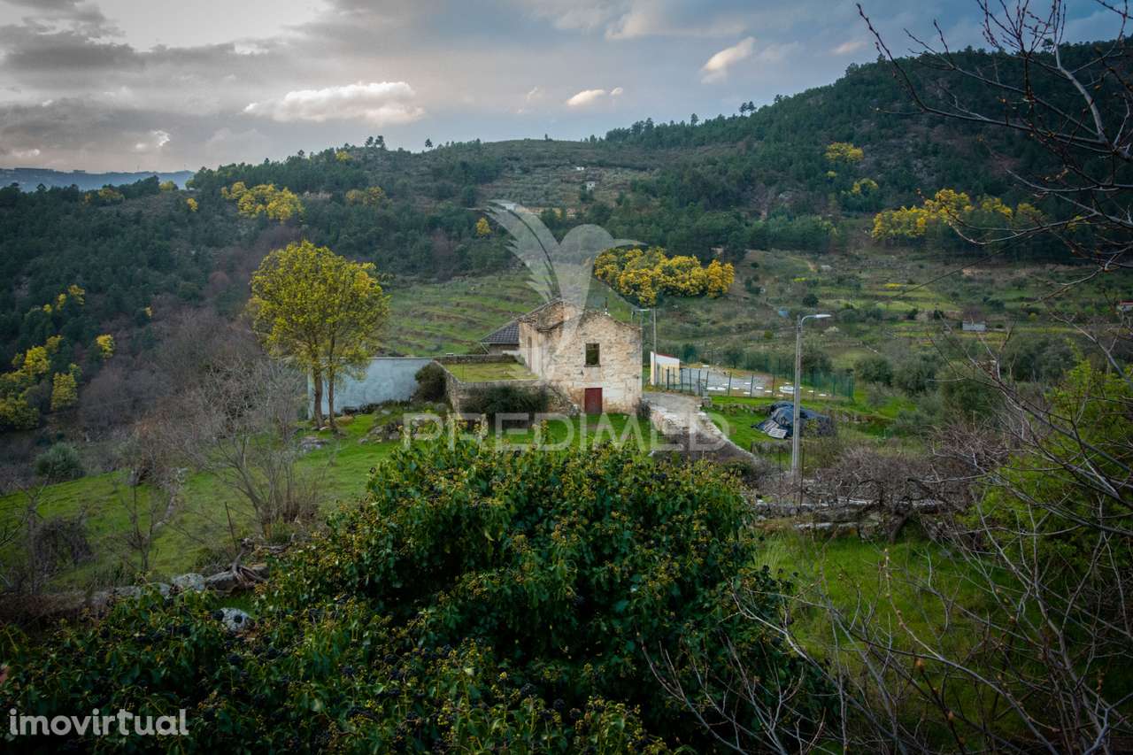 MORADIA EM RUÍNAS COM LOGRADOURO - Grande imagem: 3/3