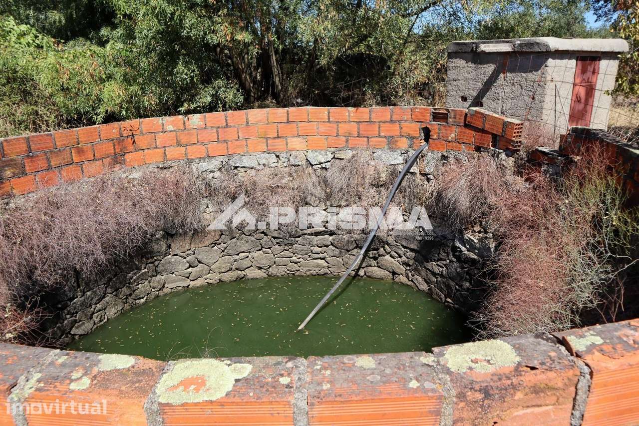 Quinta com 9.750m2 para Venda na Mata - Grande imagem: 5/34