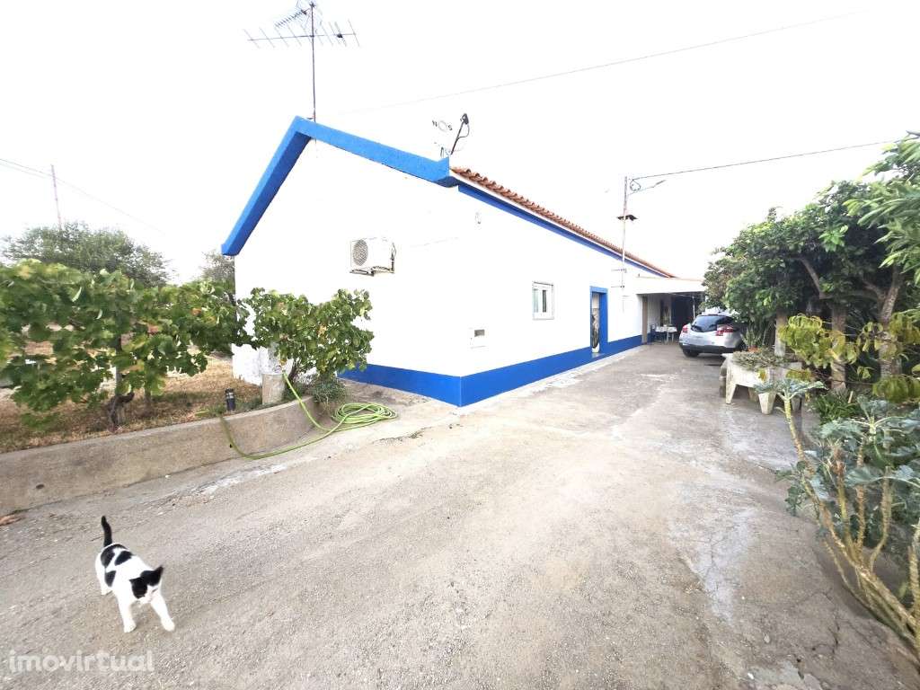 Quintinha de 12.315 m² com Monte T3, Olival, Horta e Árvores de Fruto - Grande imagem: 5/52