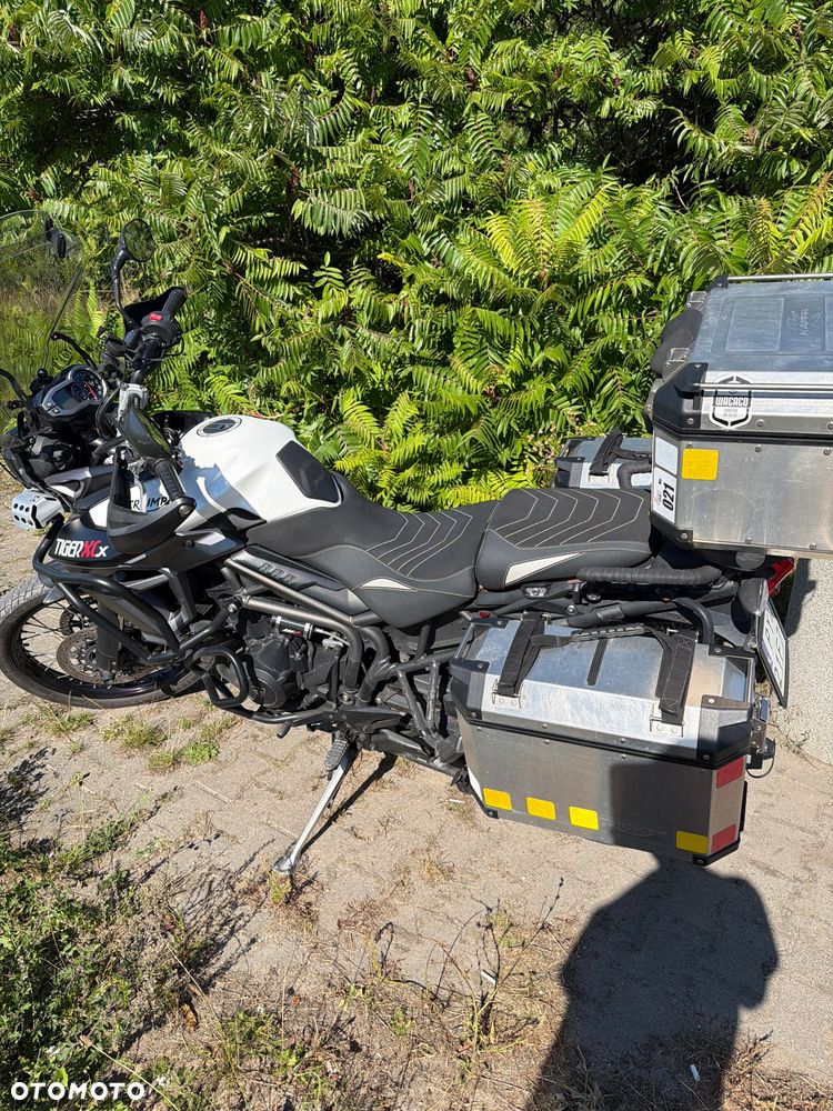 Triumph Tiger - 4