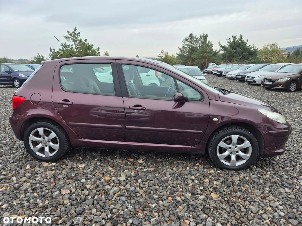 Peugeot 307 1.6 Premium - 8