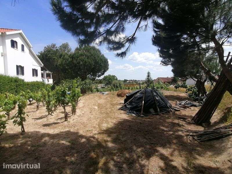 Terreno urbanizável 2.350 m² | PIP aprovado | Vale Mansos Coruche - Grande imagem: 4/11