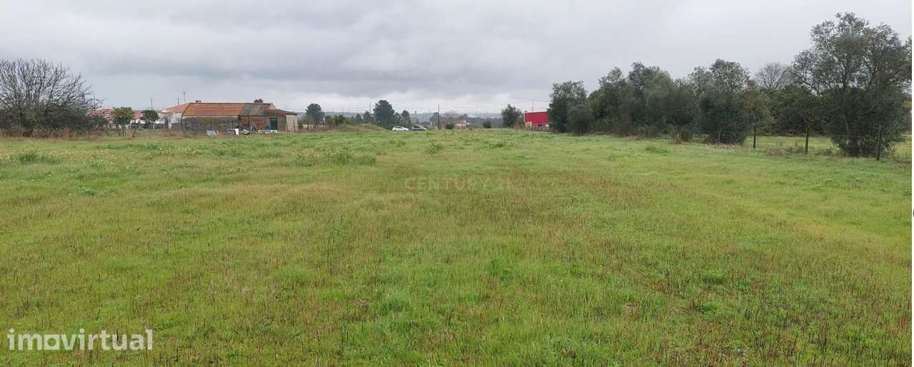 Terreno de 9500m2 com viabilidade de construção, Poceirão, Palmela - Grande imagem: 3/4