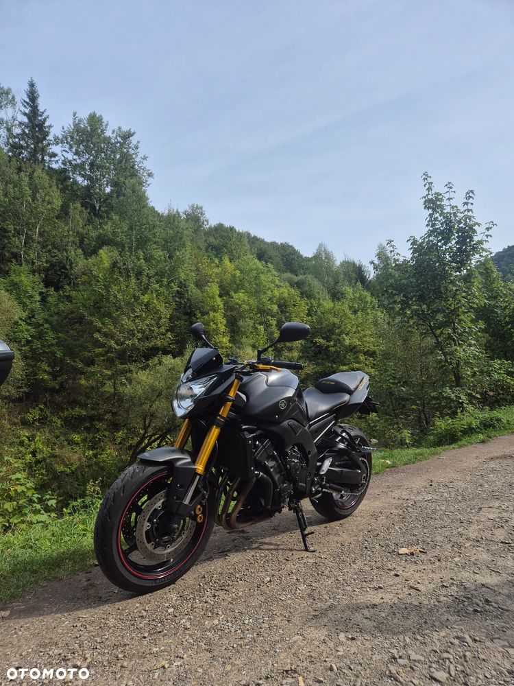 Yamaha FZ8 - 1