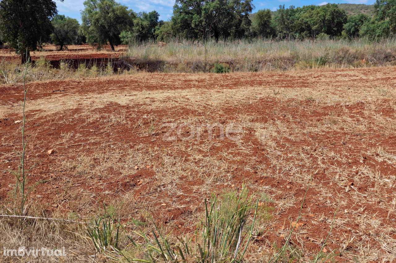 Terreno Nave dos Cordeiros - Loulé - Grande imagem: 5/19