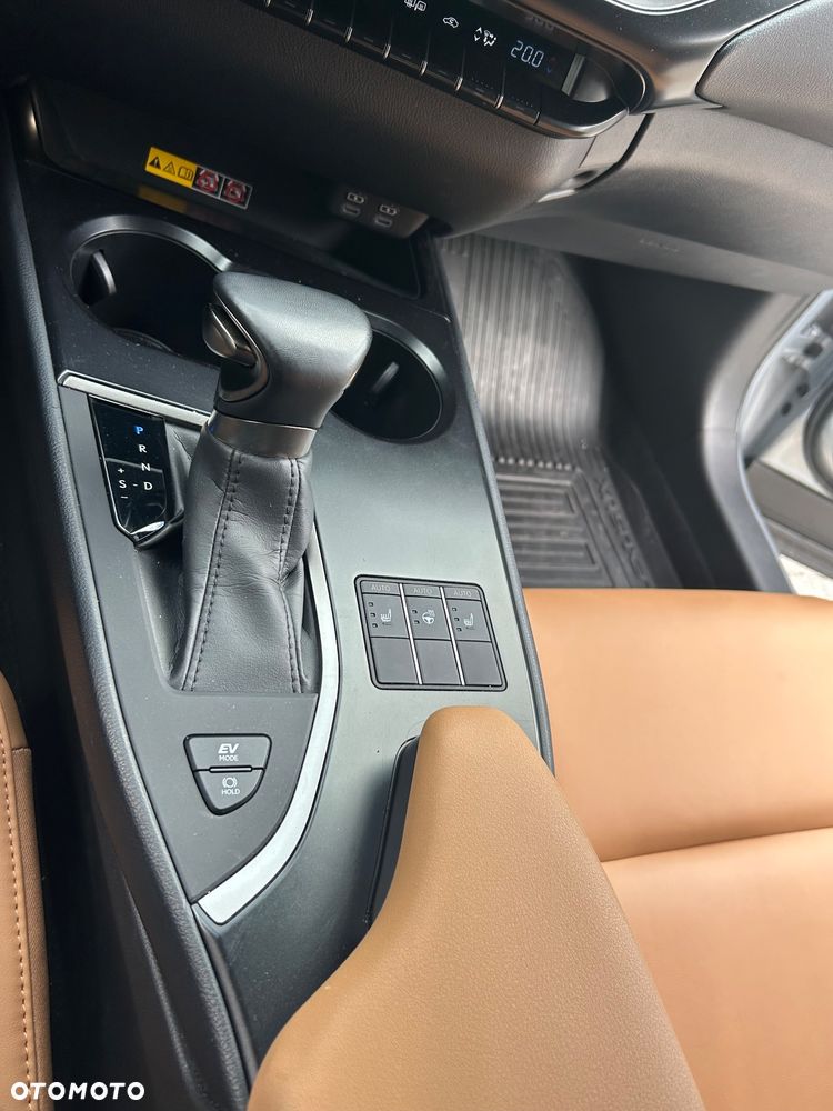 Lexus UX 250h GPF F Sport 2WD - 17