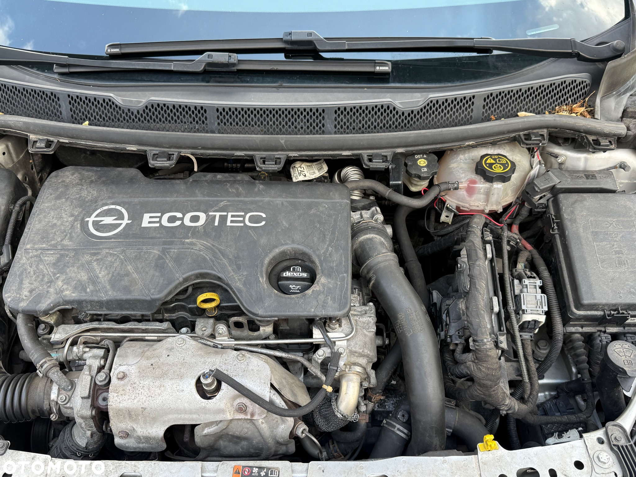 Opel Astra V 1.6 CDTI Elite - 17