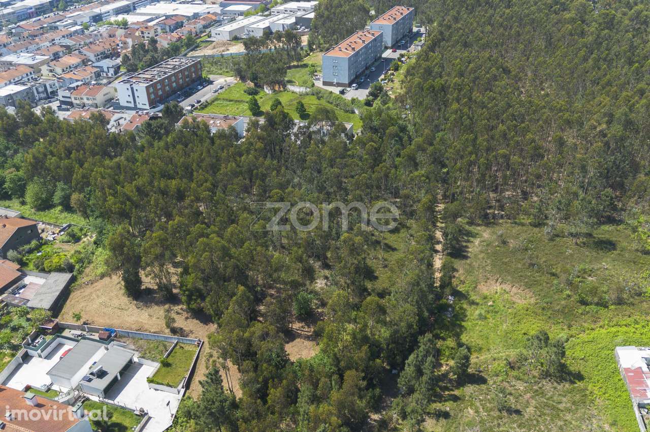 Terreno Agrícola - Grande imagem: 3/10