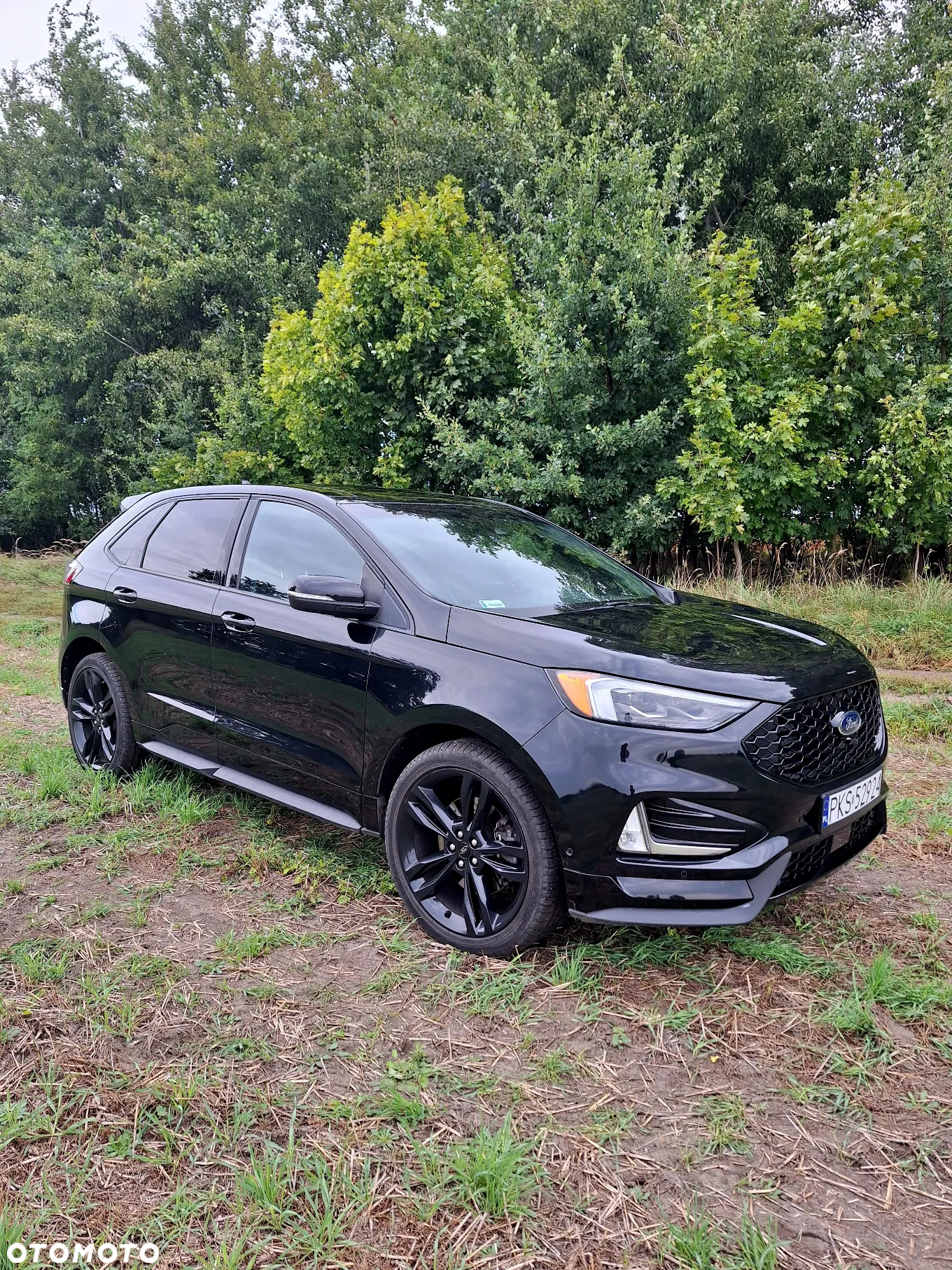 Ford Edge - 14