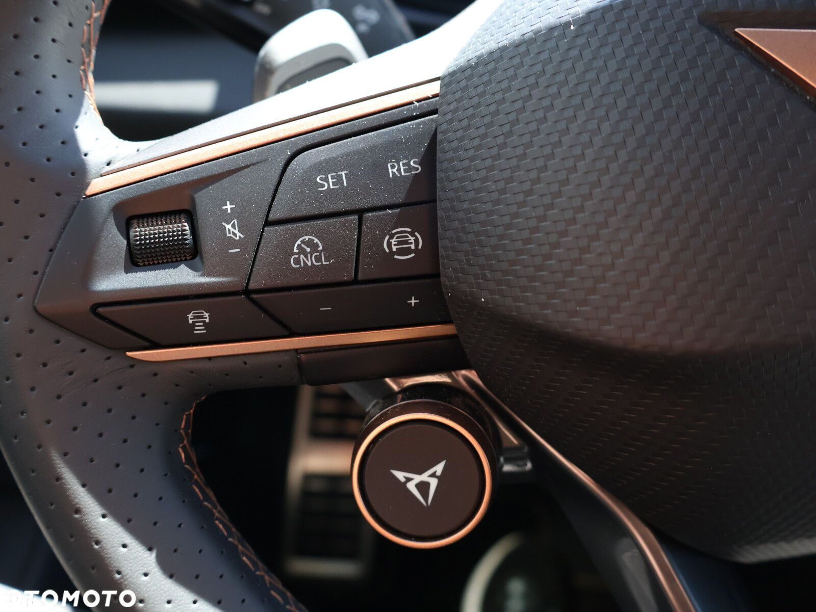 Cupra Terramar - 20