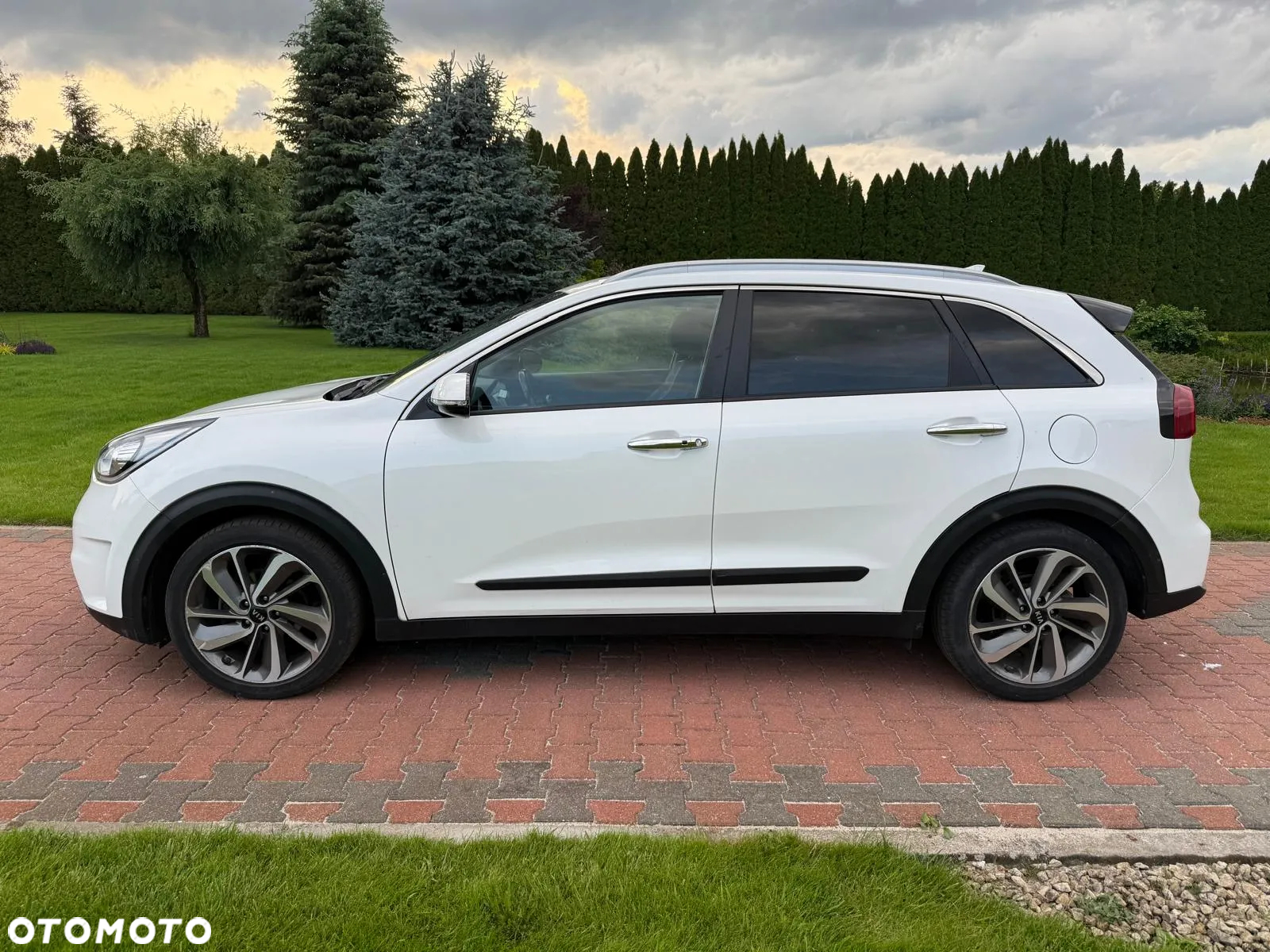 Kia Niro 1.6 GDI HEV 2WD OPF Vision - 3