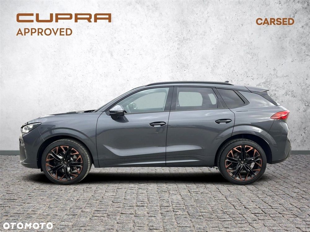 Cupra Terramar 2.0 TSI 4Drive VZ DSG - 4
