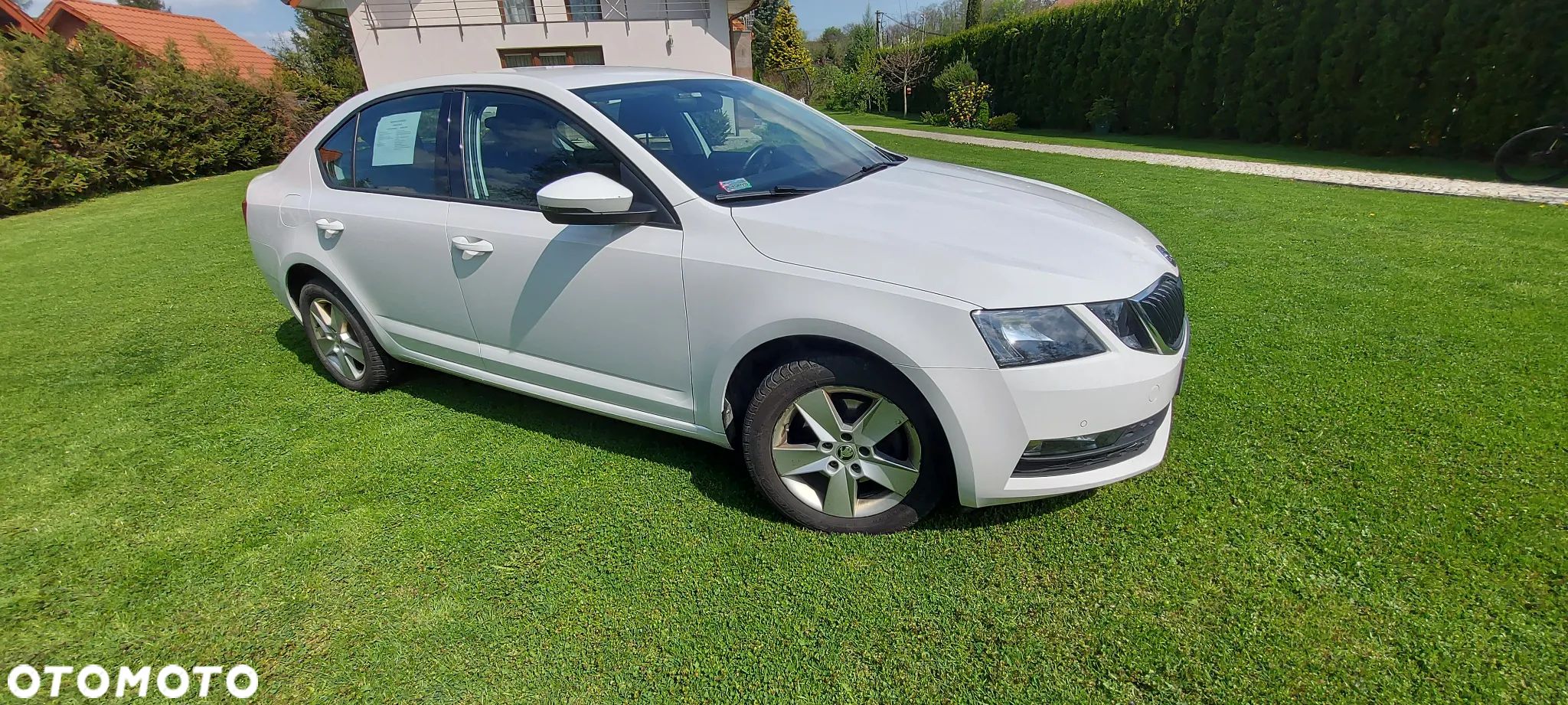 Skoda Octavia 1.0 TSI Ambition - 1