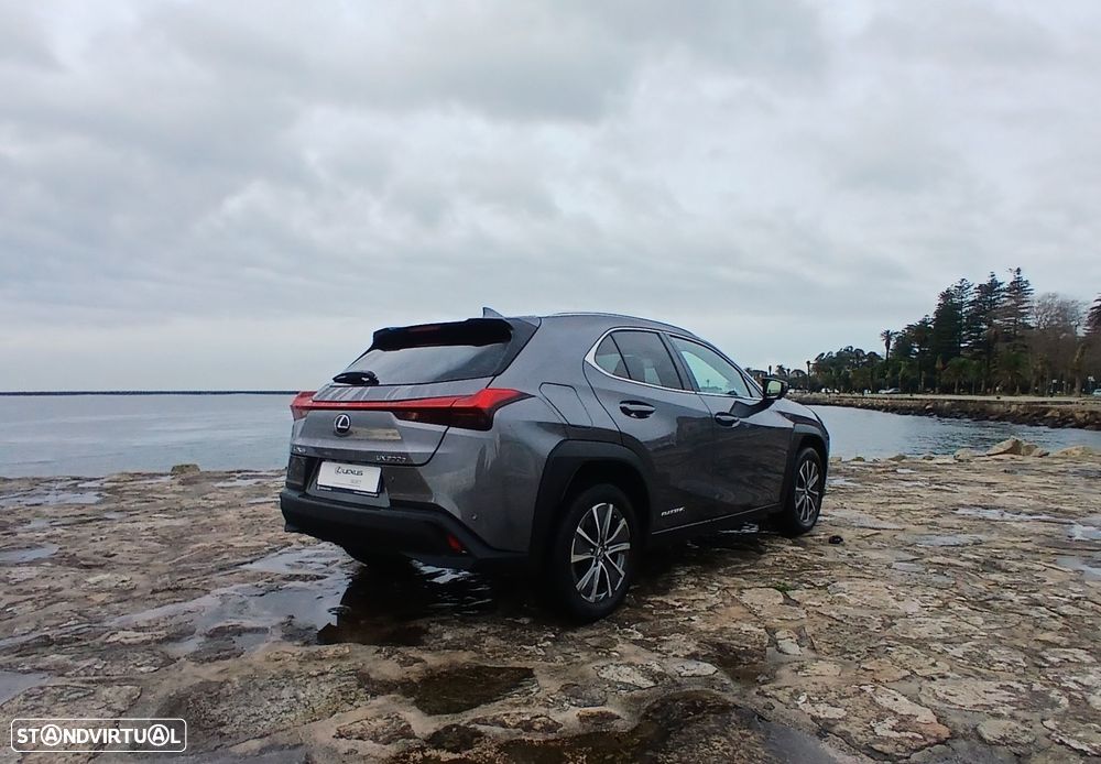 Lexus UX 300e Luxury - 6