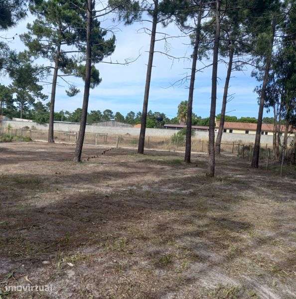 Lote Terreno Urbano Sesmarias do Meio Estrada da Praia de Melides. - Grande imagem: 2/12