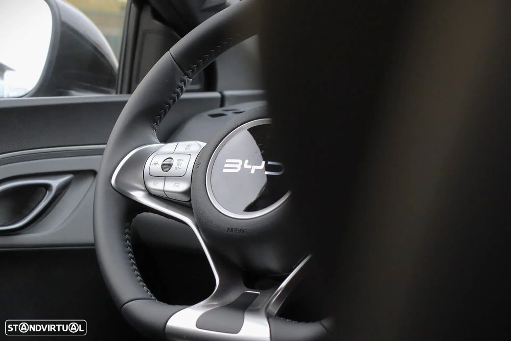 BYD Dolphin Surf 30 kWh Active - 9