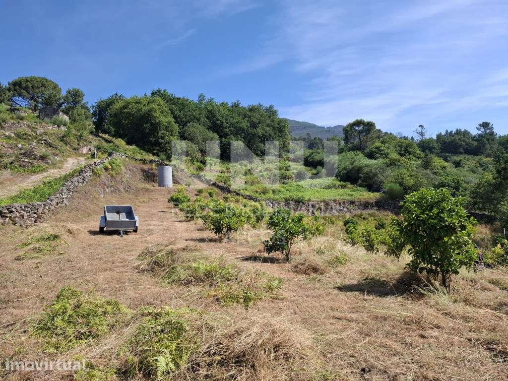 Terreno Rústico em Vilarinho das Quartas, Soajo - Grande imagem: 5/10