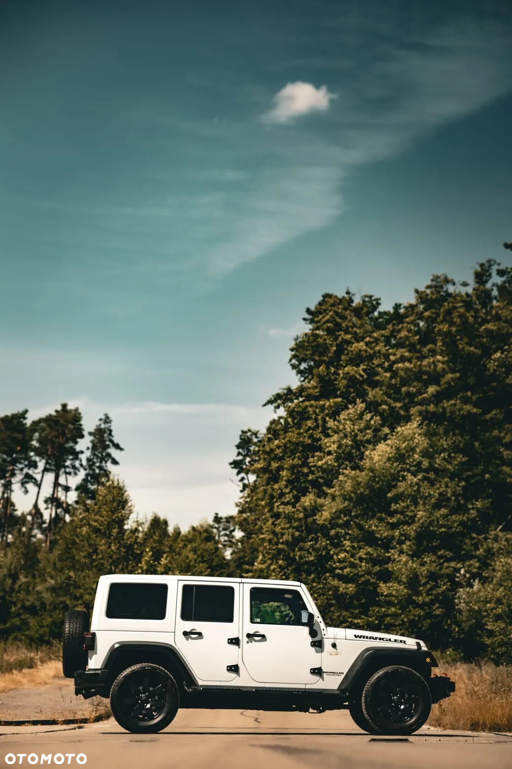 Jeep Wrangler 3.6 Unlim Sahara - 9