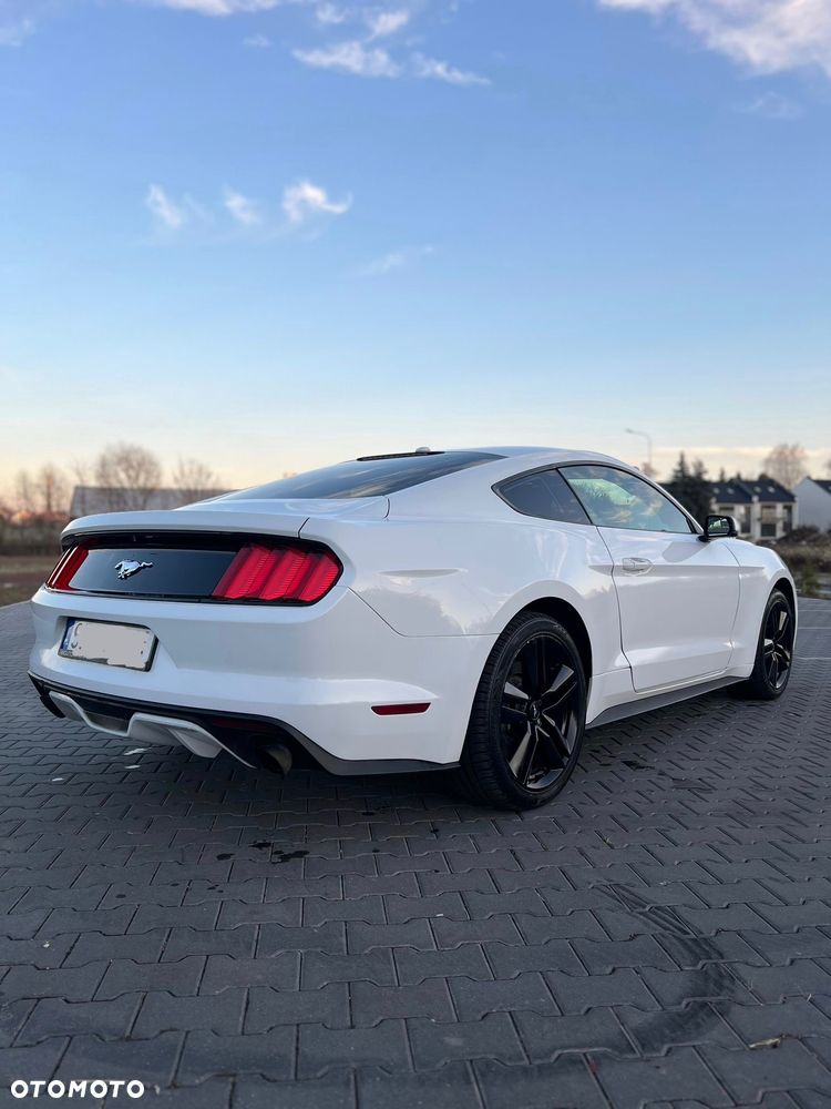 Ford Mustang 2.3 EcoBoost - 19