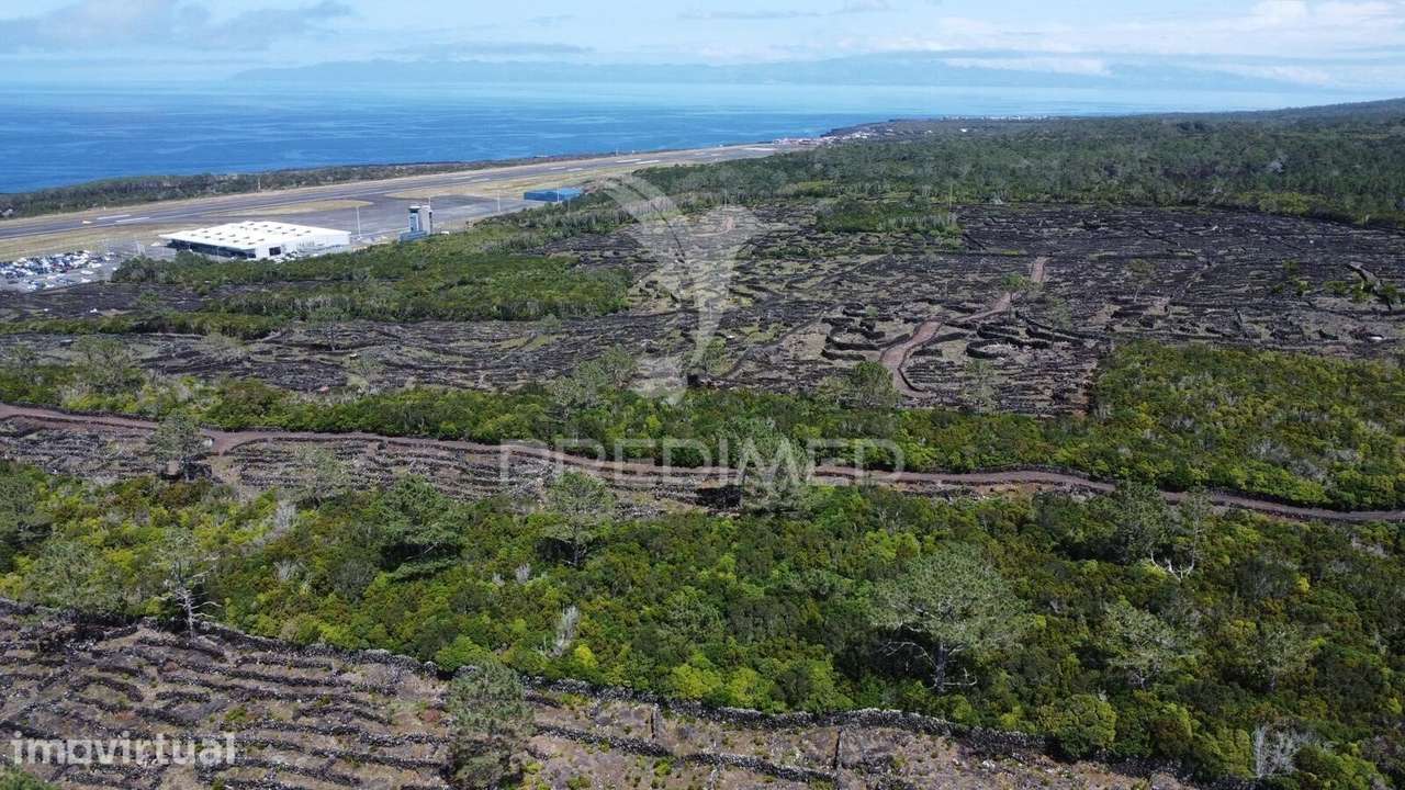 Terreno rústico com vinha – Bandeiras, Madalena do Pico - Grande imagem: 5/9
