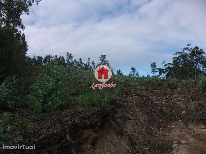Terreno Florestal de 9.980m2 em Canidelo, Vila do Conde - Grande imagem: 2/5