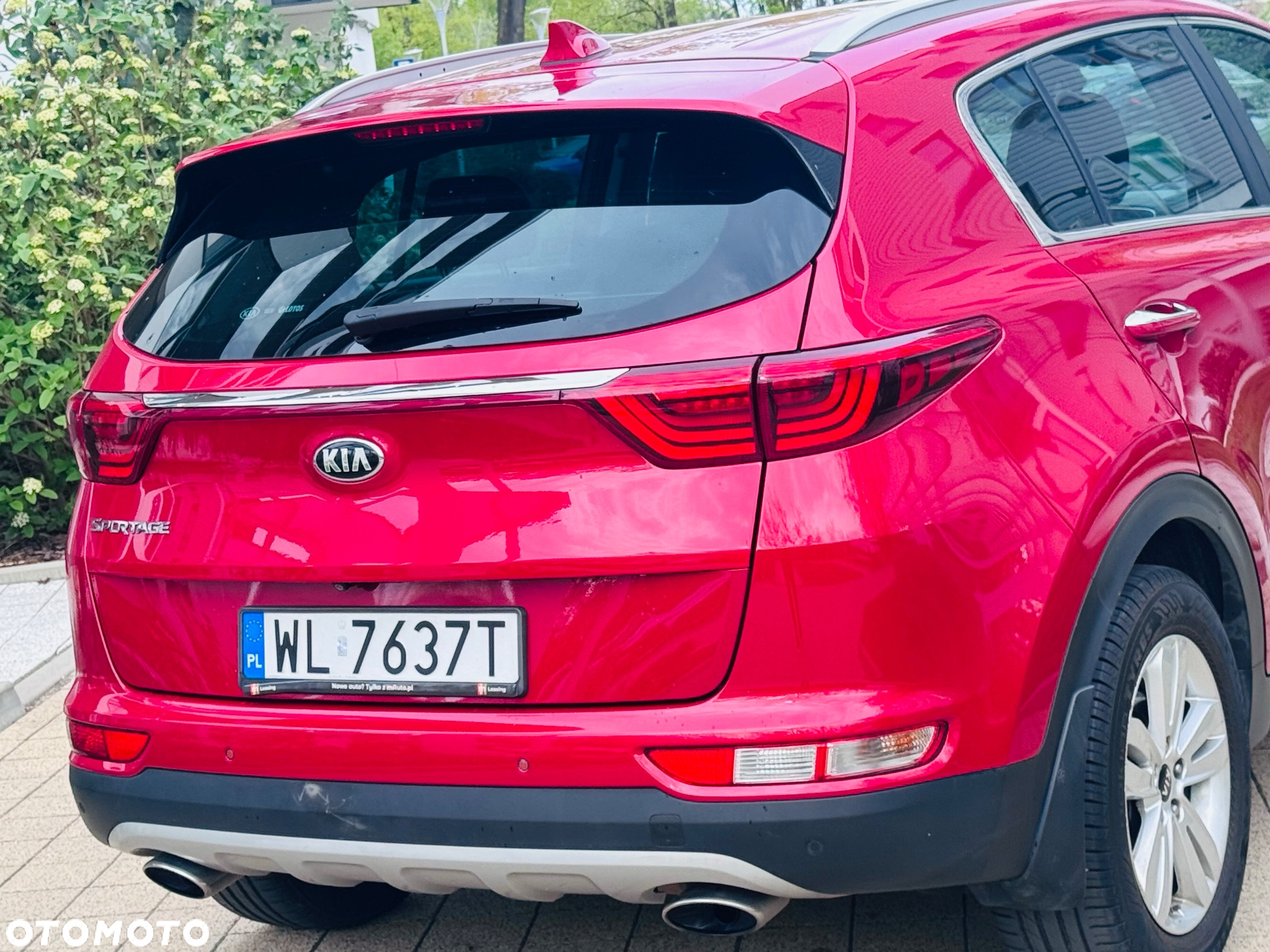 Kia Sportage 1.6 T-GDI Business Line 4WD DCT - 14