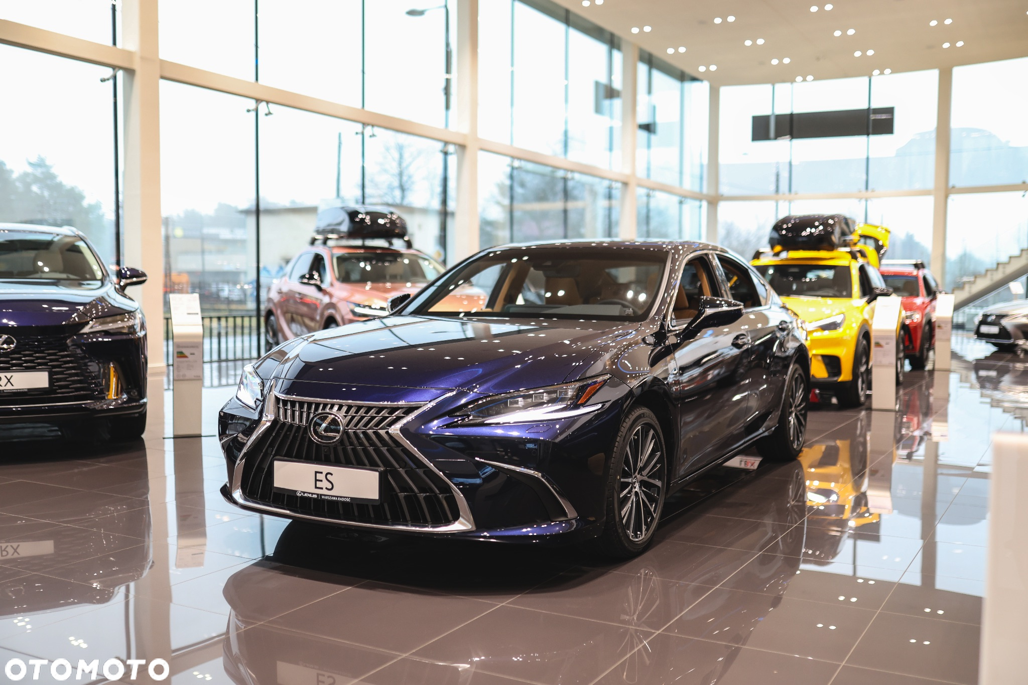 Lexus ES 300h Prestige - 6