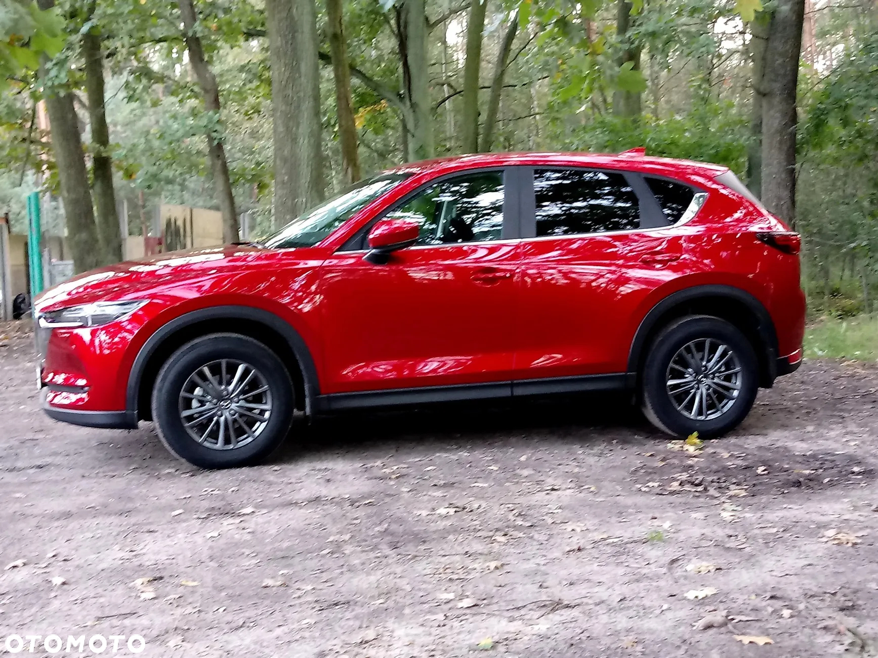 Mazda CX-5 2.0 Skyenergy 2WD - 12