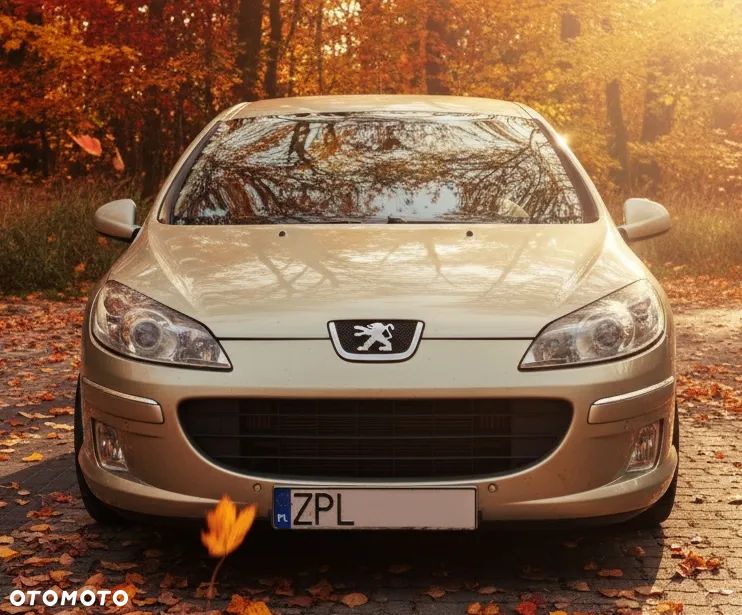 Peugeot 407 2.0 HDi Premium Navtech - 3