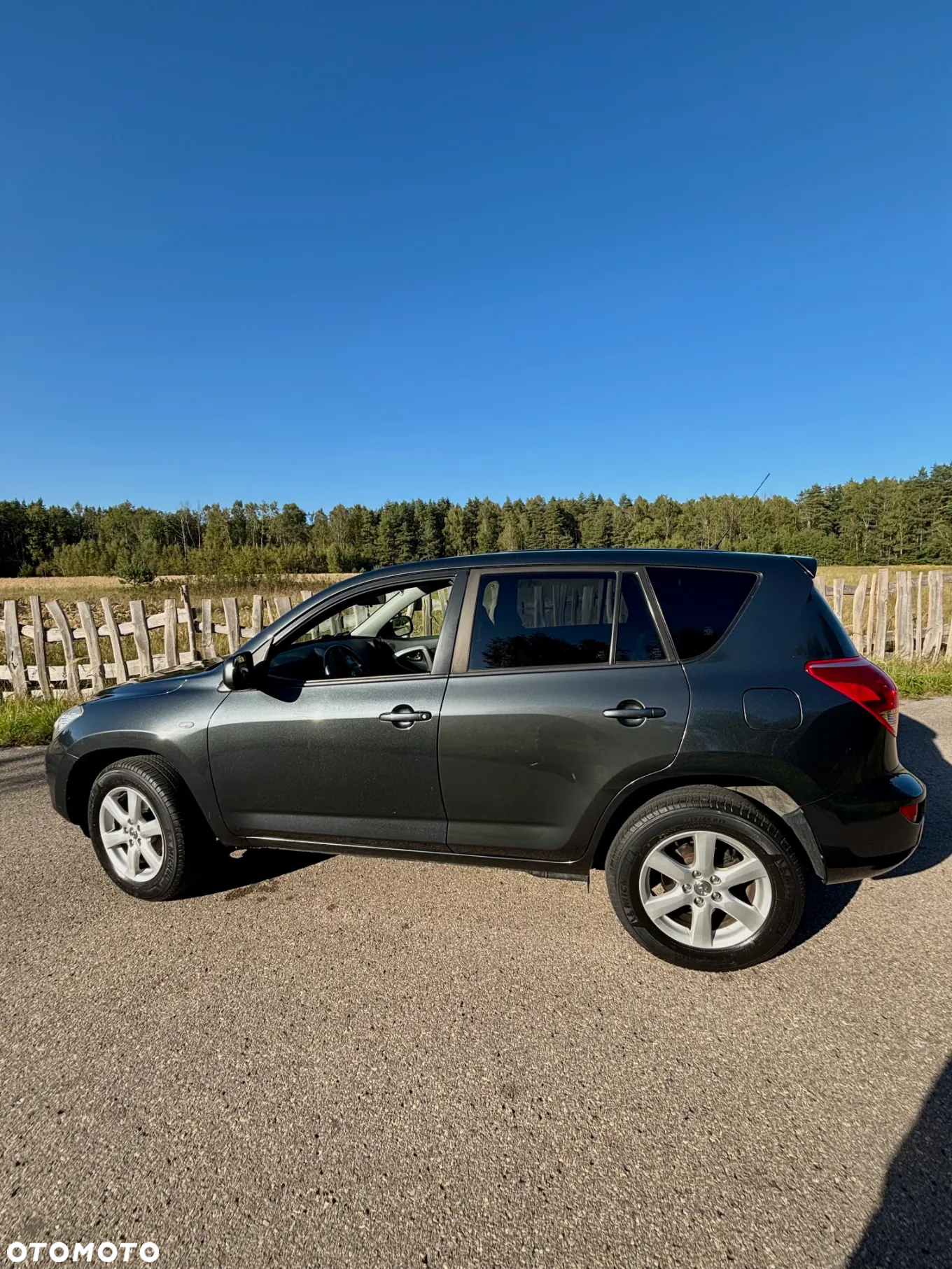 Toyota RAV4 2.0 VVT-i Premium - 7