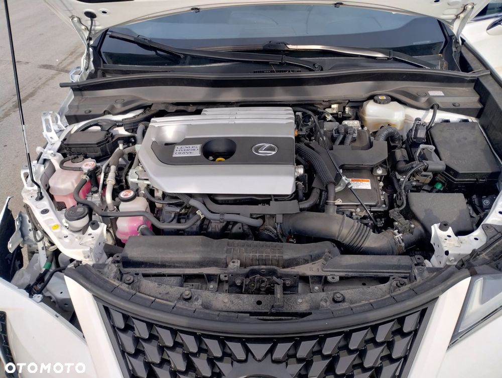 Lexus UX 250h Luxury Line - 12