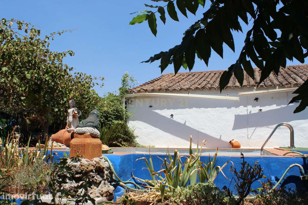 Moradia T4 com terreno de 1.050m2 em Cano (Sousel) - Grande imagem: 2/27