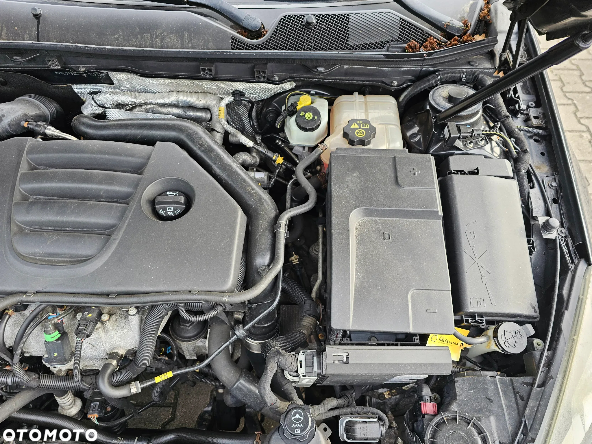 Opel Insignia - 34