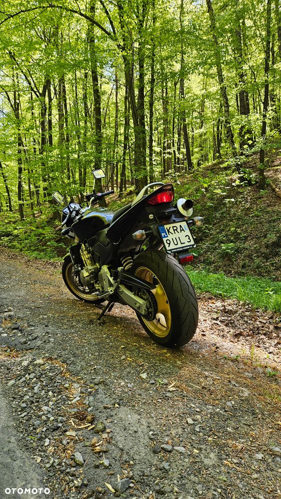 Honda Hornet - 4