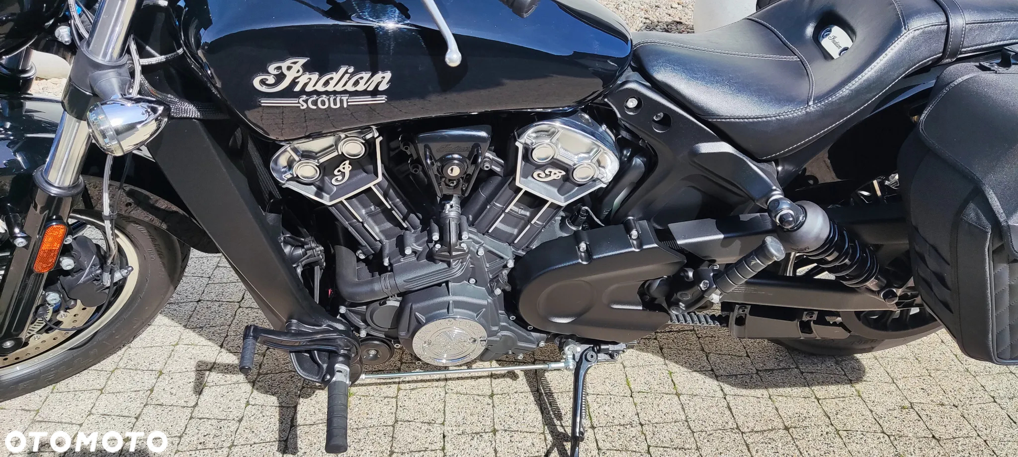 Indian Scout - 7