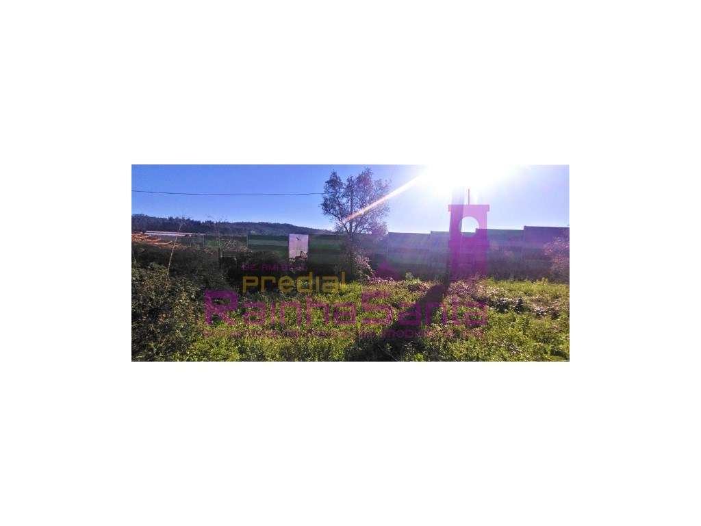 Casa para recuperar - São Martinho do Bispo - Coimbra - Grande imagem: 5/16