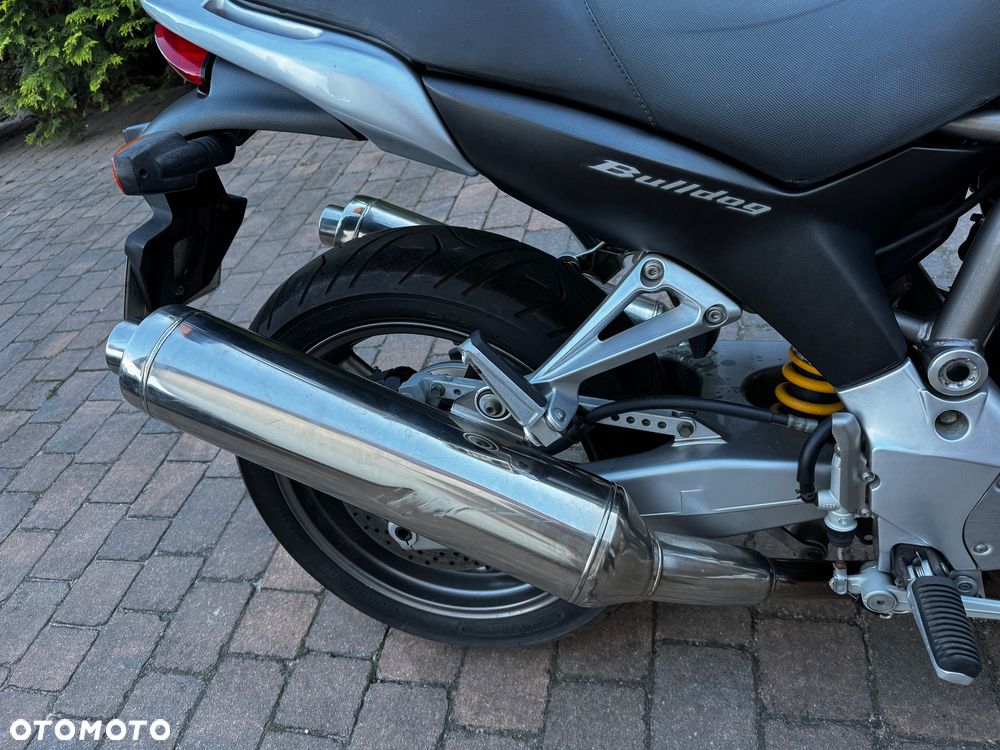 Yamaha Bulldog - 14