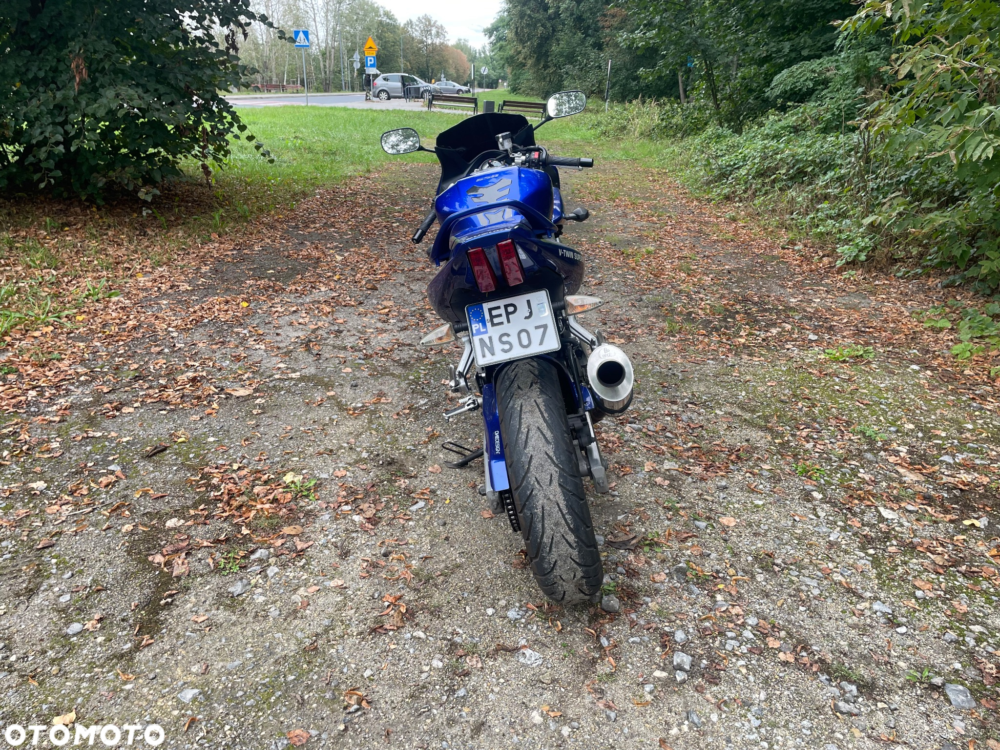 Suzuki SV - 8