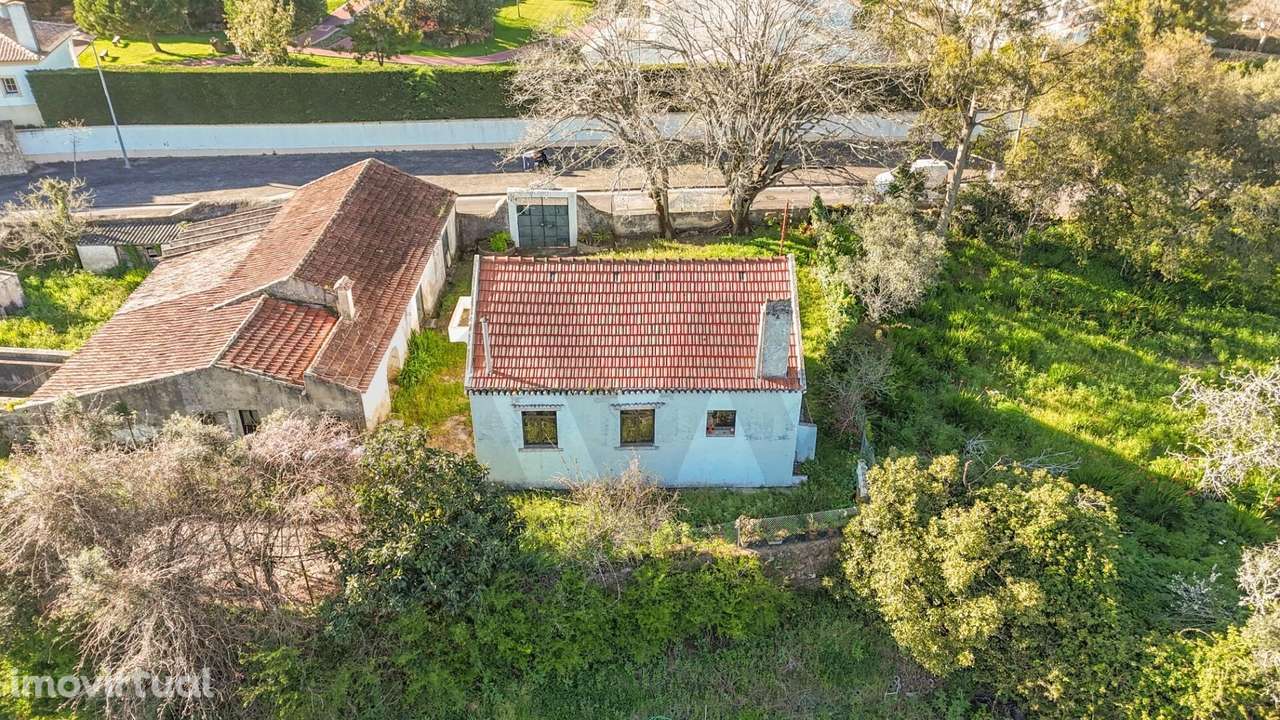 Quinta da Saúde: 3.650 m2 de Privacidade a 25 Minutos de Lisboa - Grande imagem: 3/15